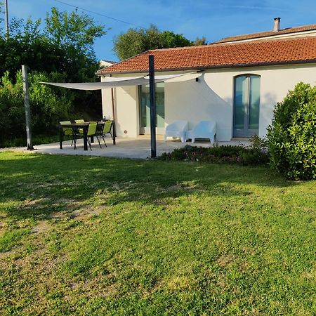 Rustico Del Bozzo Guest House Castelleone di Suasa ภายนอก รูปภาพ