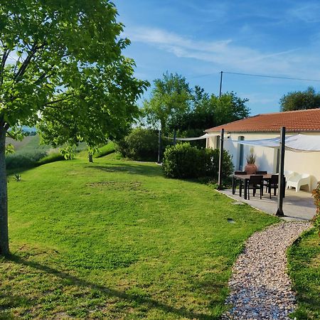 Rustico Del Bozzo Guest House Castelleone di Suasa ภายนอก รูปภาพ