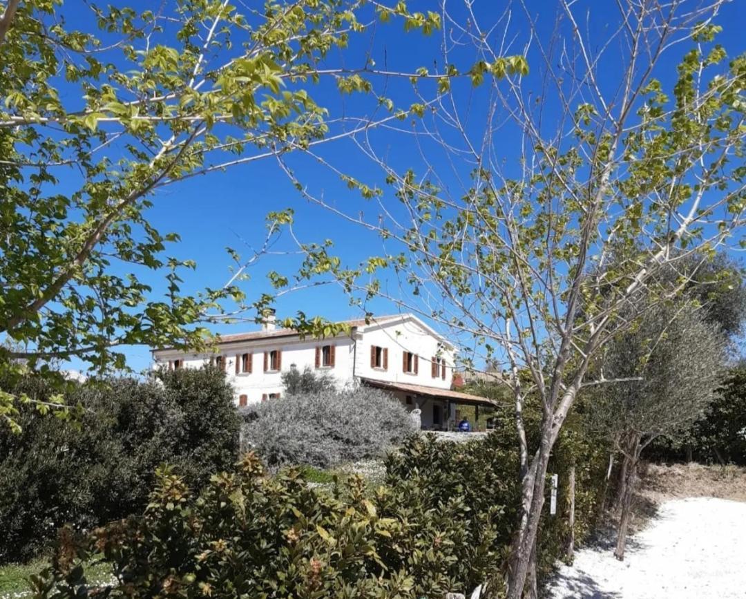 Rustico Del Bozzo Guest House Castelleone di Suasa ภายนอก รูปภาพ
