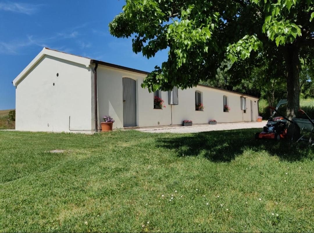 Rustico Del Bozzo Guest House Castelleone di Suasa ภายนอก รูปภาพ