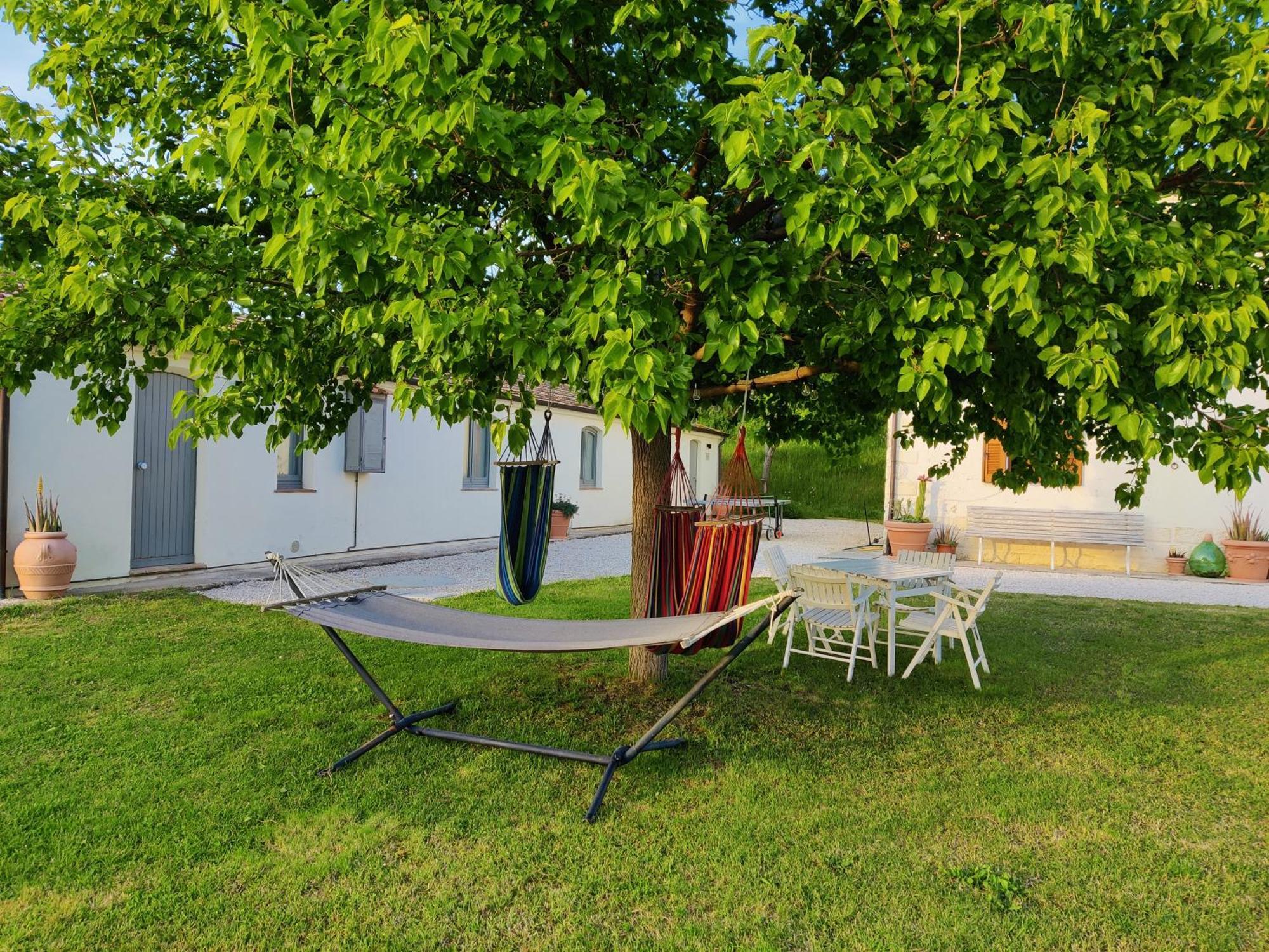 Rustico Del Bozzo Guest House Castelleone di Suasa ภายนอก รูปภาพ